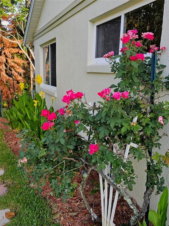 En Venta: $389,900 (4 camas, 2 baños, 3125 Pies cuadrados)
