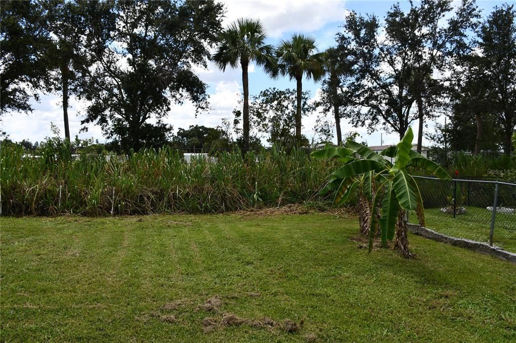 На продажу: $320,000 (3 спален, 2 ванн, 1451 Квадратных фут)