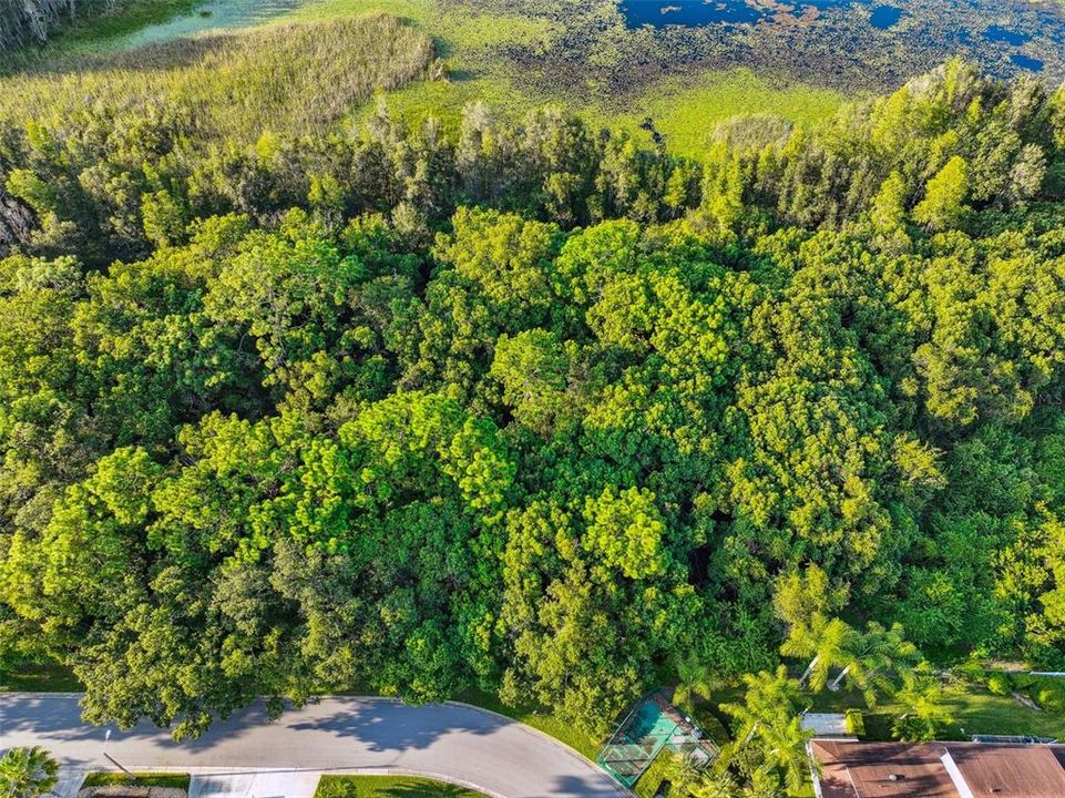 For Sale: $1,350,000 (30.70 acres)
