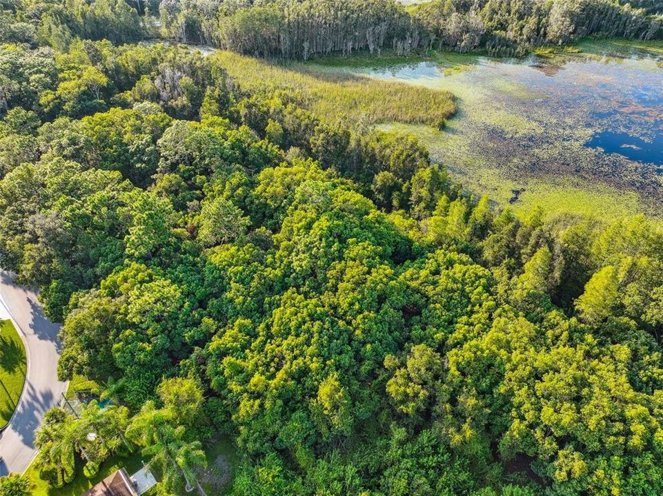 For Sale: $1,350,000 (30.70 acres)
