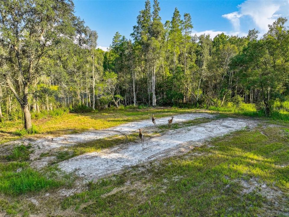 For Sale: $1,350,000 (30.70 acres)