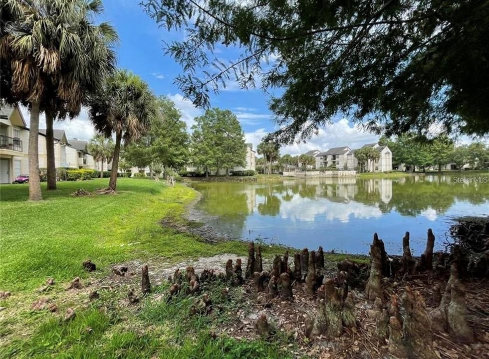 For Sale: $159,000 (1 beds, 1 baths, 660 Square Feet)