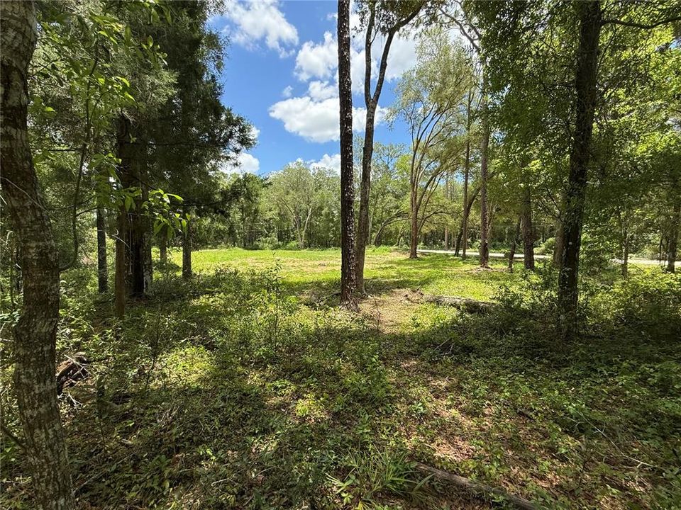 For Sale: $85,000 (1.18 acres)