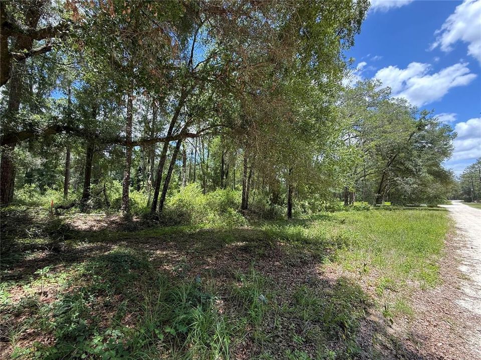 For Sale: $85,000 (1.18 acres)