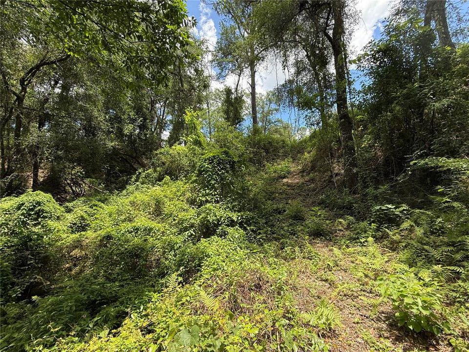 For Sale: $85,000 (1.18 acres)