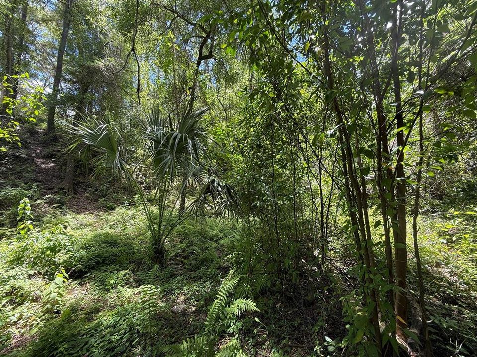 For Sale: $85,000 (1.18 acres)