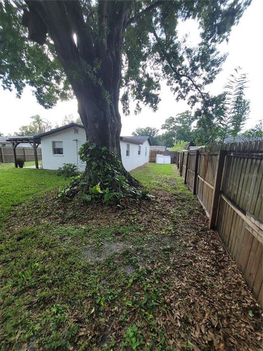For Sale: $352,000 (3 beds, 1 baths, 901 Square Feet)