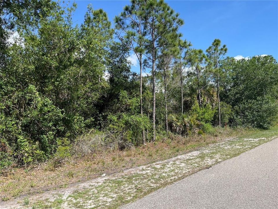 For Sale: $17,900 (0.23 acres)