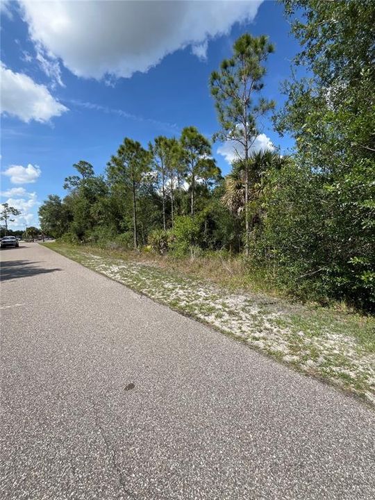 For Sale: $17,900 (0.23 acres)