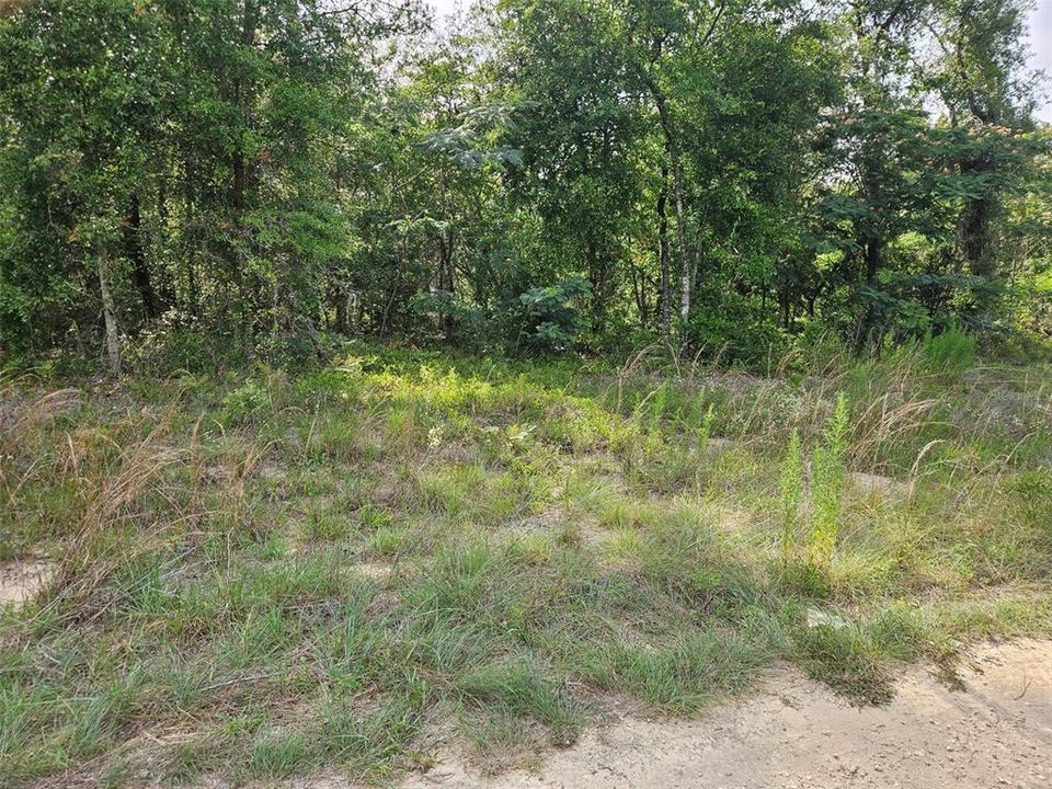 待售: $9,700 (0.23 acres)