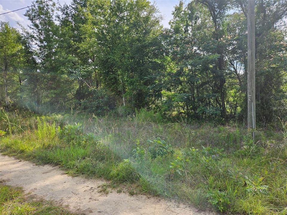 待售: $9,700 (0.23 acres)