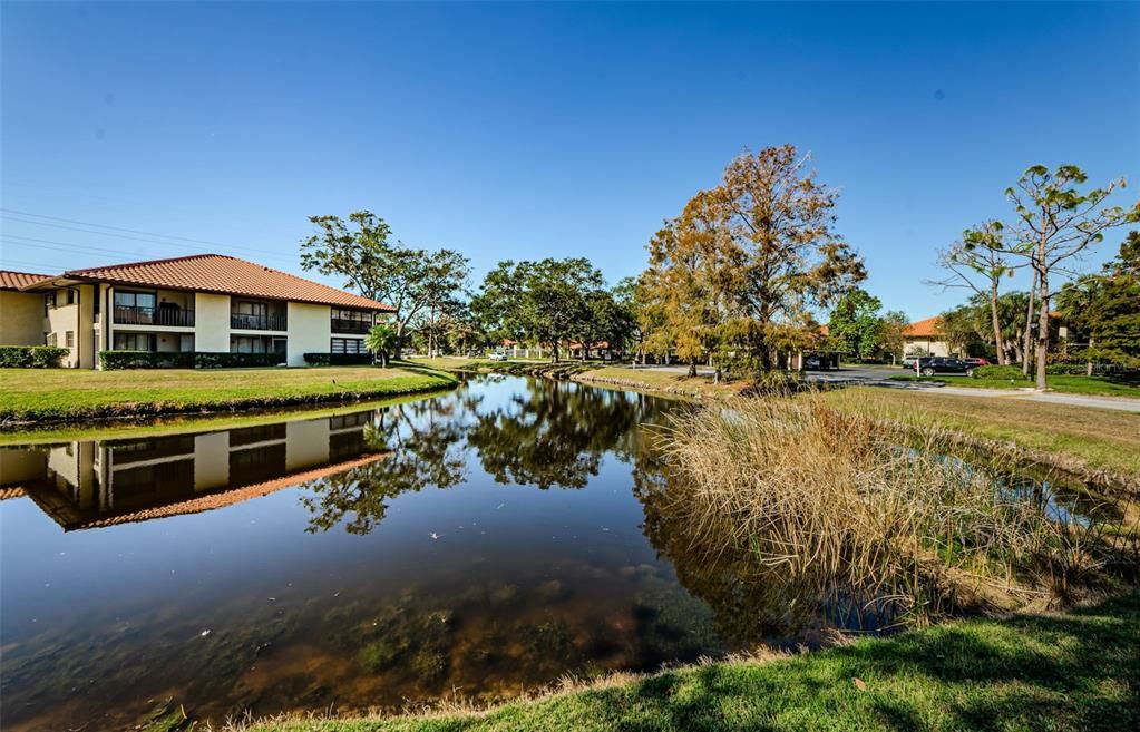 For Rent: $1,720 (1 beds, 1 baths, 750 Square Feet)