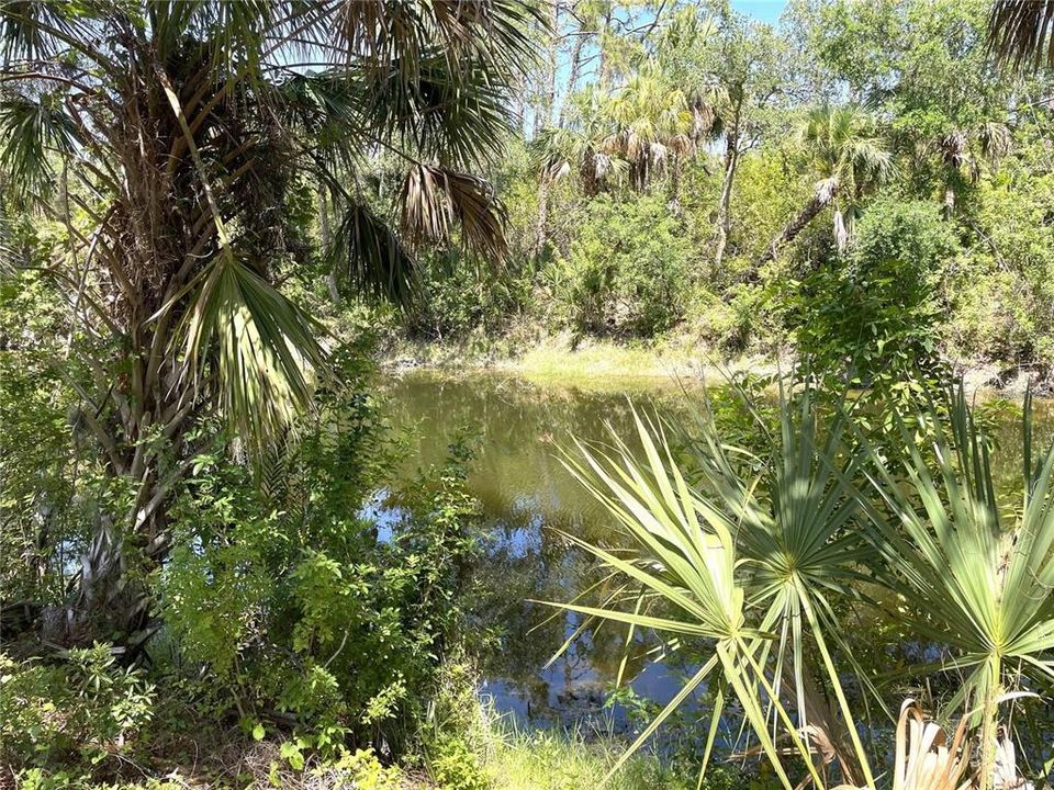 For Sale: $17,900 (0.23 acres)