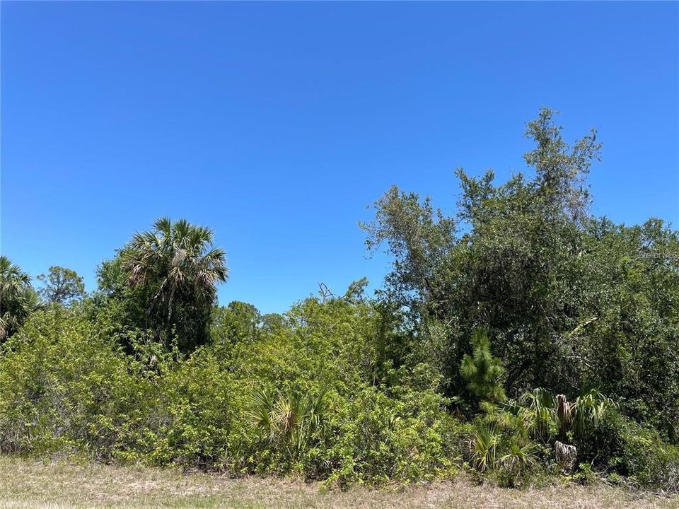 For Sale: $17,900 (0.23 acres)
