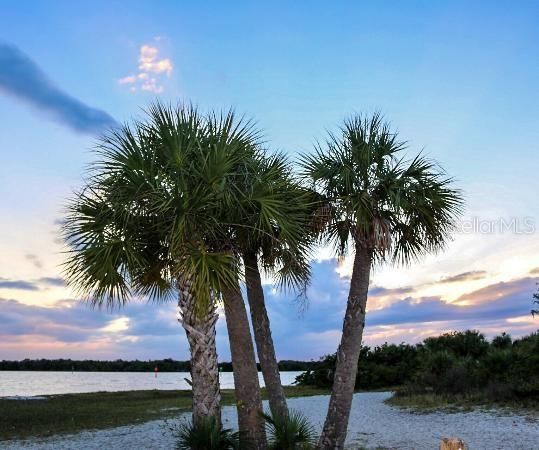 For Sale: $17,900 (0.23 acres)