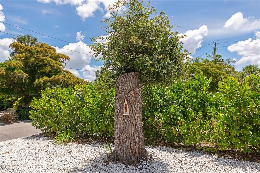 For Rent: $3,000 (2 beds, 1 baths, 870 Square Feet)