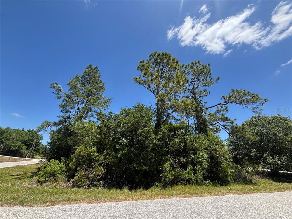 For Sale: $37,000 (0.26 acres)