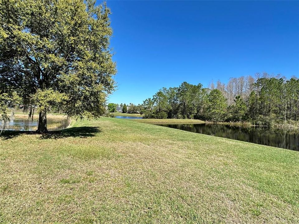 For Rent: $3,300 (4 beds, 2 baths, 2349 Square Feet)