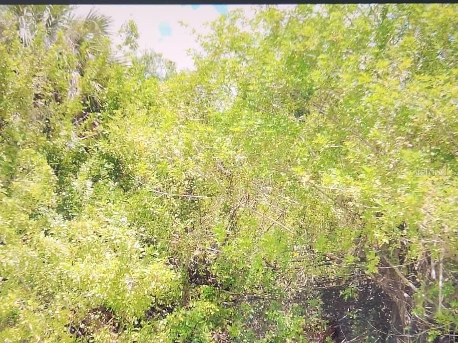 For Sale: $21,600 (0.23 acres)