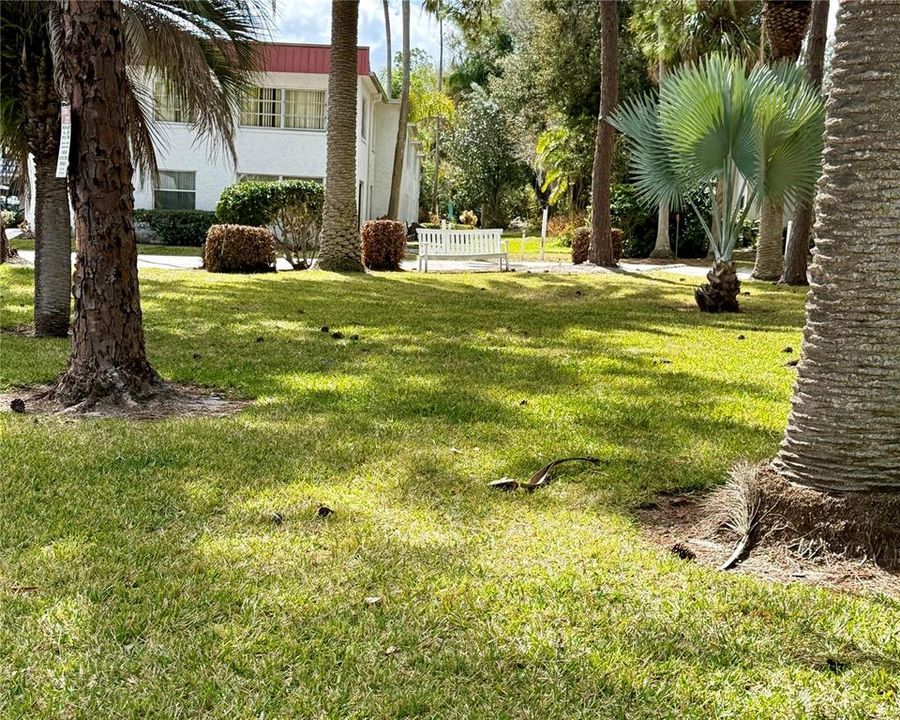 For Sale: $55,000 (1 beds, 1 baths, 663 Square Feet)