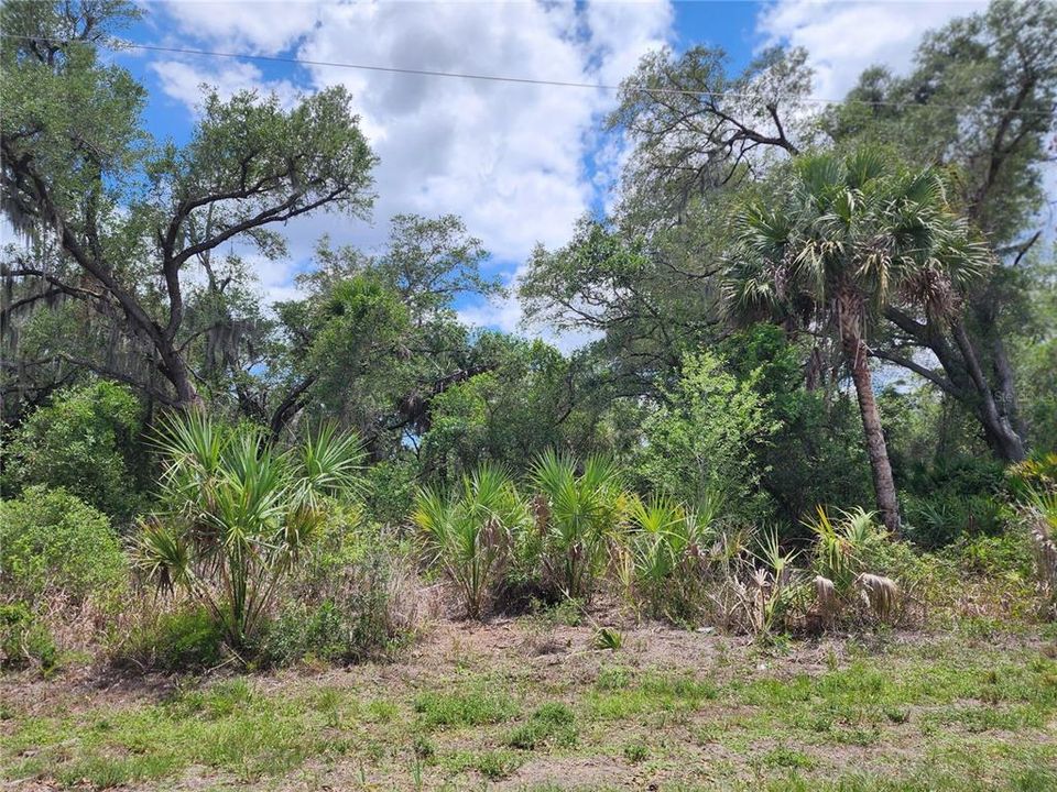 For Sale: $14,900 (0.23 acres)