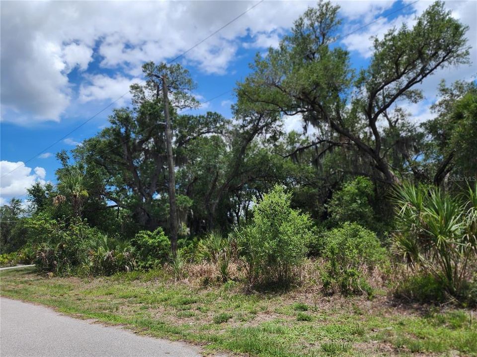 For Sale: $14,900 (0.23 acres)