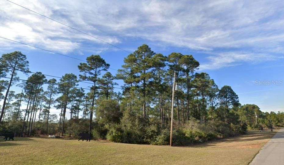 For Sale: $100,000 (0.65 acres)