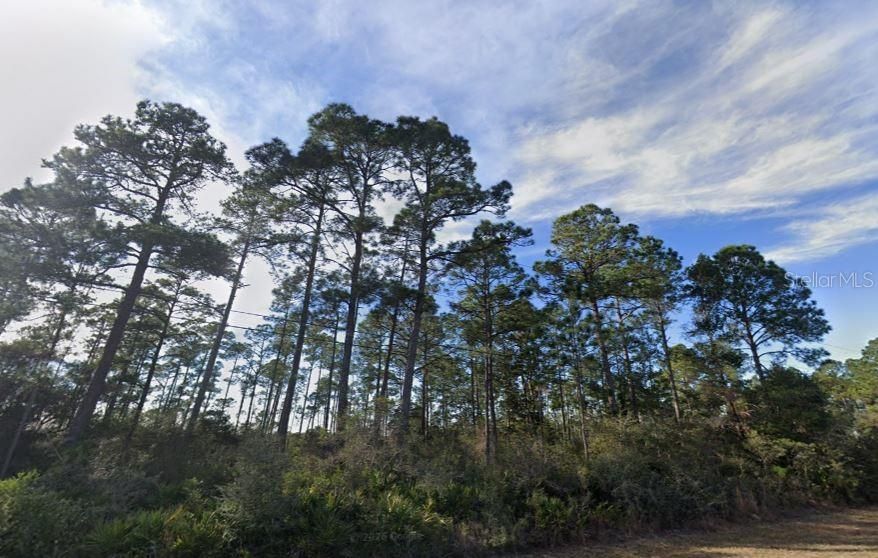For Sale: $100,000 (0.65 acres)
