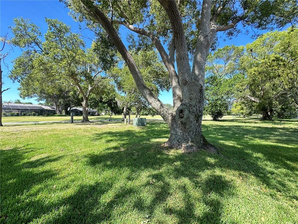 For Sale: $305,000 (3 beds, 2 baths, 1346 Square Feet)