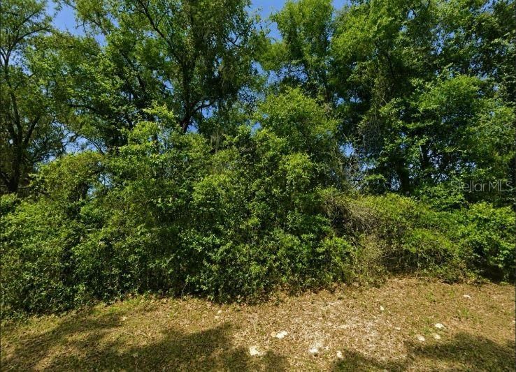 For Sale: $32,000 (0.78 acres)