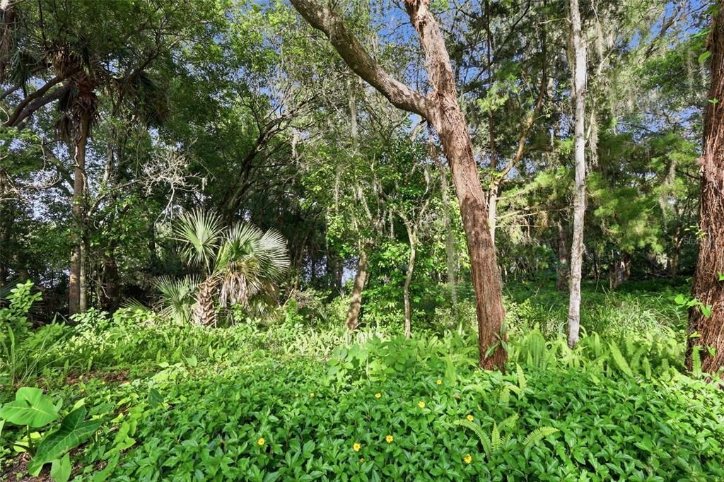 待售: $144,900 (0.59 acres)