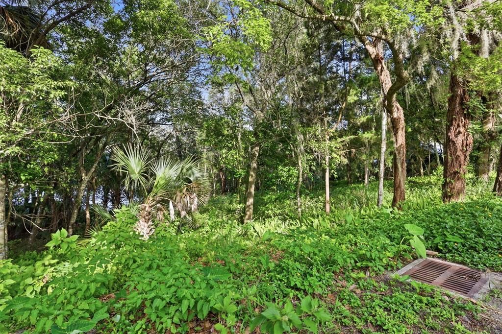 待售: $144,900 (0.59 acres)