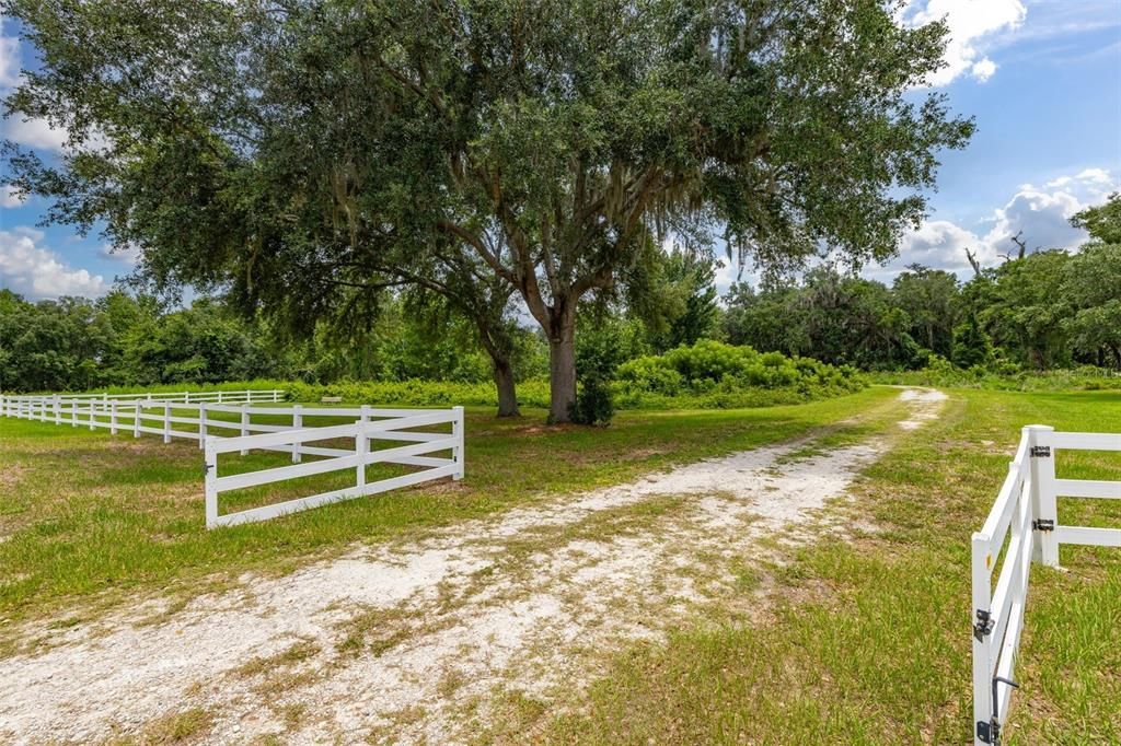 For Sale: $315,000 (6.92 acres)