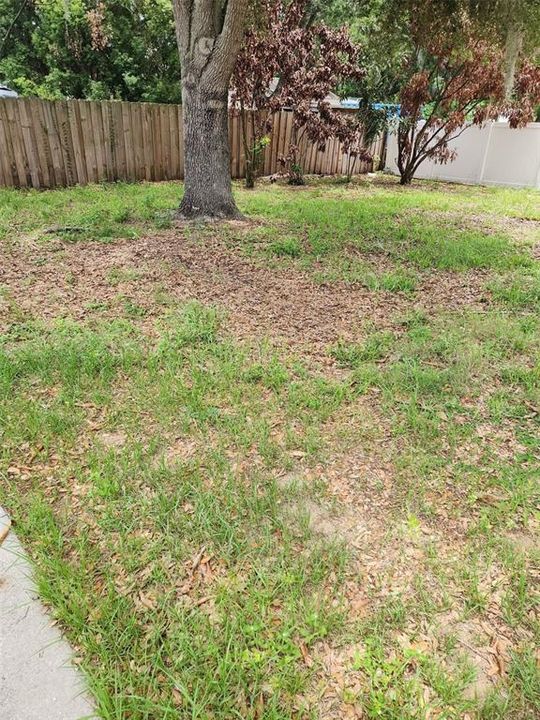 For Rent: $1,950 (3 beds, 2 baths, 1580 Square Feet)