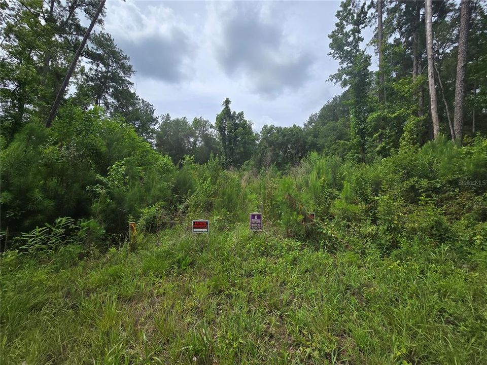 En Venta: $18,000 (0.23 acres)