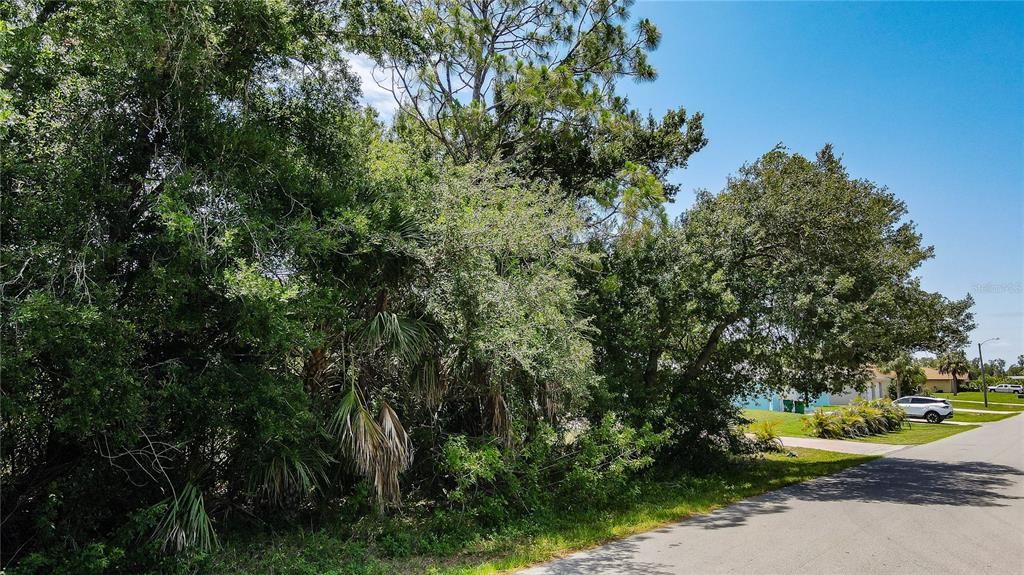 For Sale: $19,000 (0.23 acres)