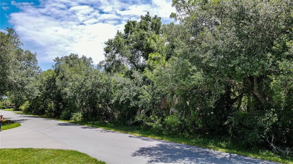 For Sale: $19,000 (0.23 acres)