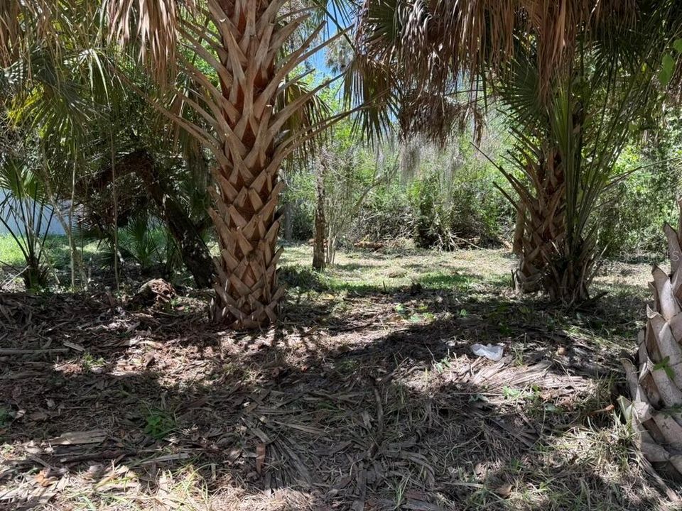 For Sale: $240,000 (0.28 acres)