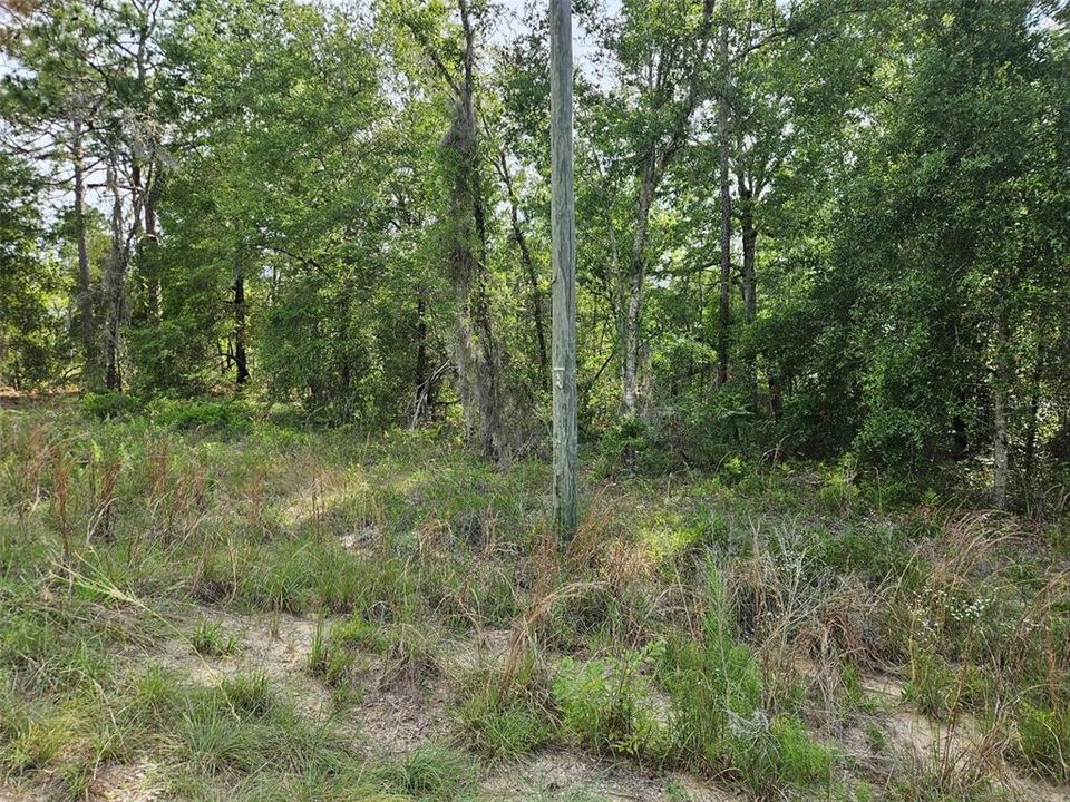 For Sale: $9,700 (0.23 acres)
