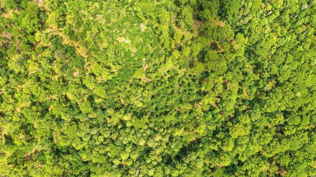 For Sale: $1,287,000 (2.34 acres)