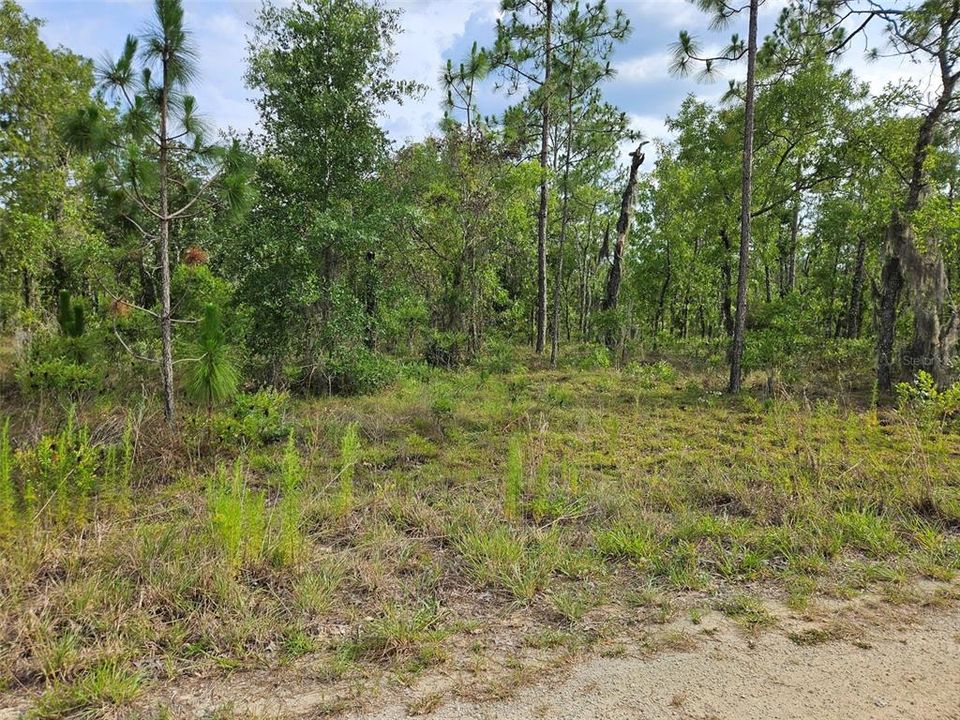 For Sale: $8,700 (0.23 acres)