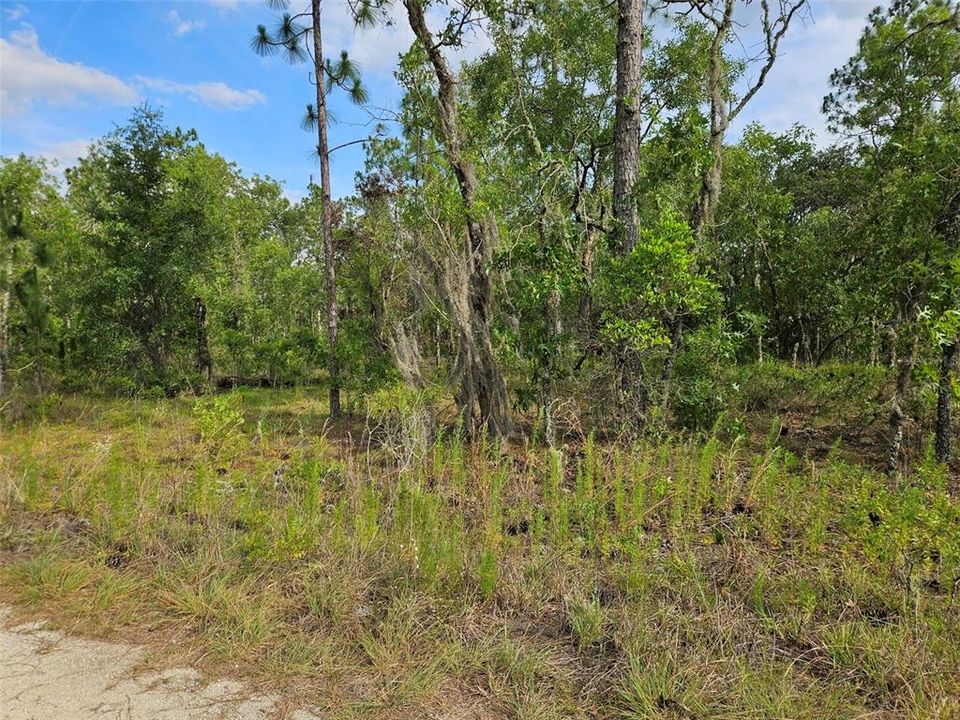 For Sale: $8,700 (0.23 acres)