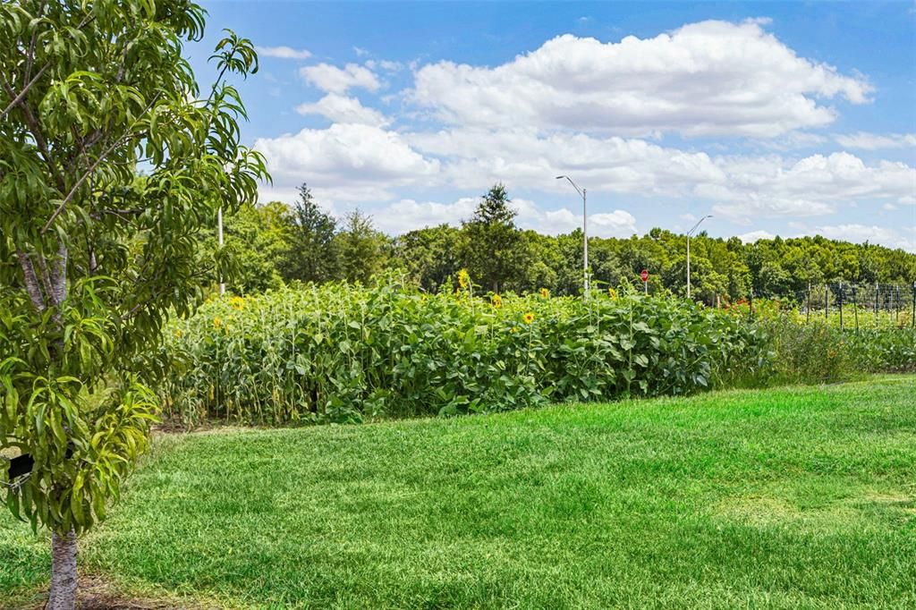 For Sale: $244,900 (3 beds, 2 baths, 1666 Square Feet)