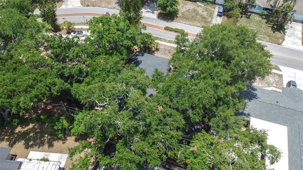 En Venta: $475,000 (3 camas, 2 baños, 1665 Pies cuadrados)