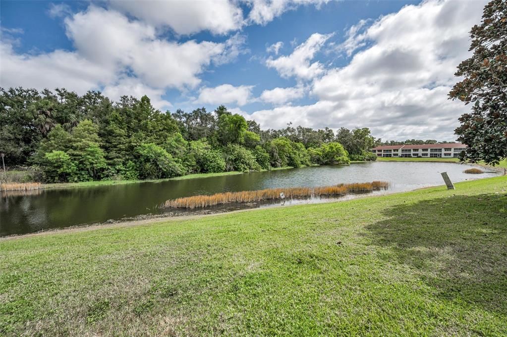 En Venta: $326,500 (3 camas, 2 baños, 1520 Pies cuadrados)