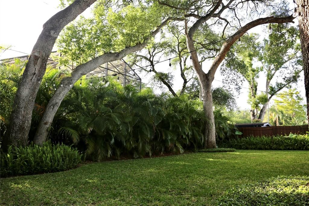 For Rent: $5,500 (4 beds, 2 baths, 1576 Square Feet)