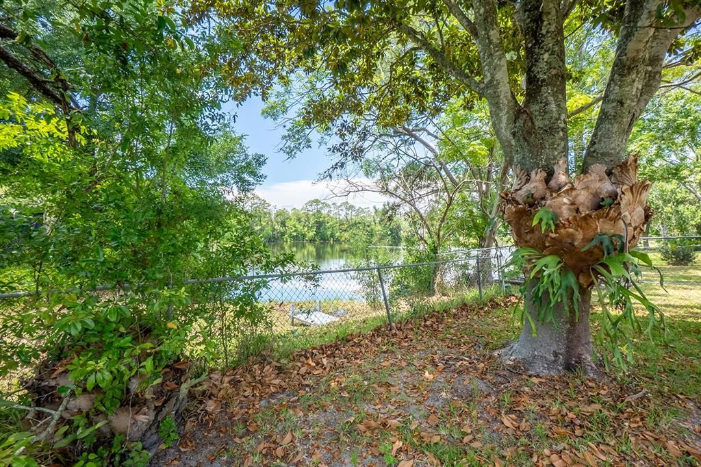 For Sale: $239,000 (2 beds, 2 baths, 1332 Square Feet)