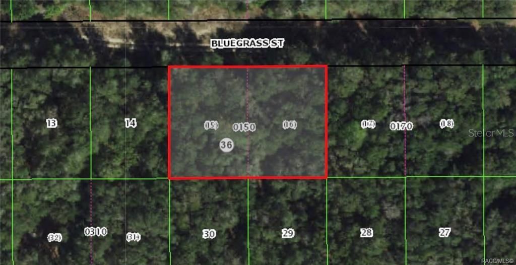 For Sale: $19,000 (0.47 acres)