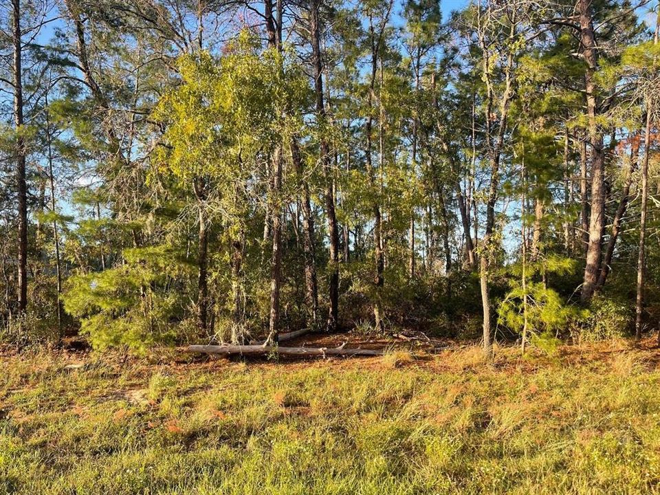 На продажу: $45,000 (0.23 acres)