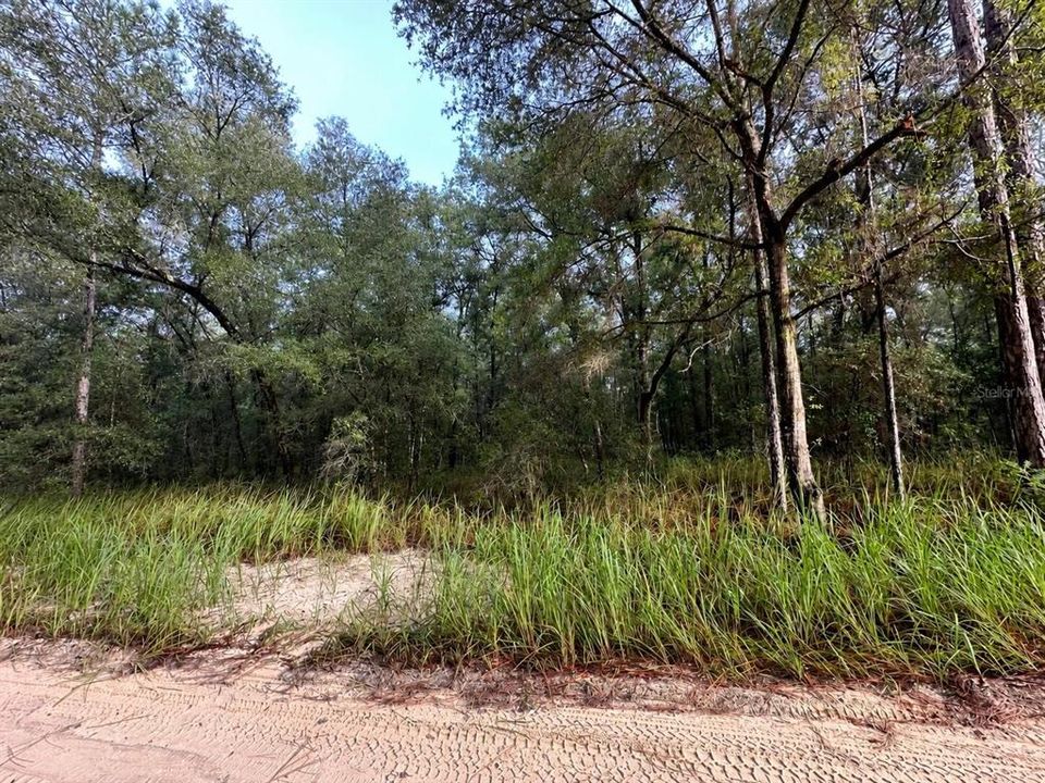 待售: $19,900 (0.23 acres)